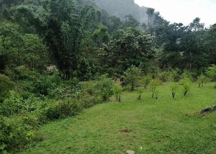 Tunky Wasi - Sapan Sachayoc Hostel Pillcopata